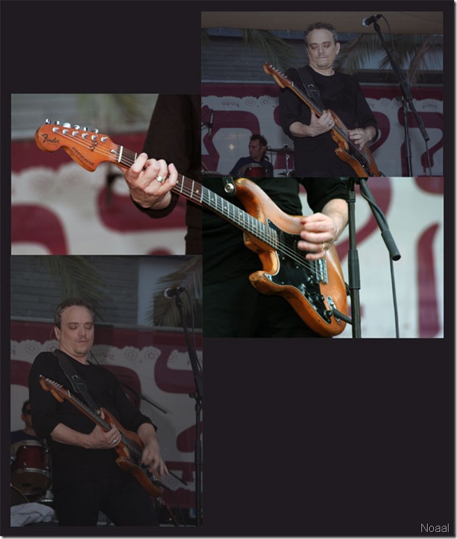 collage2