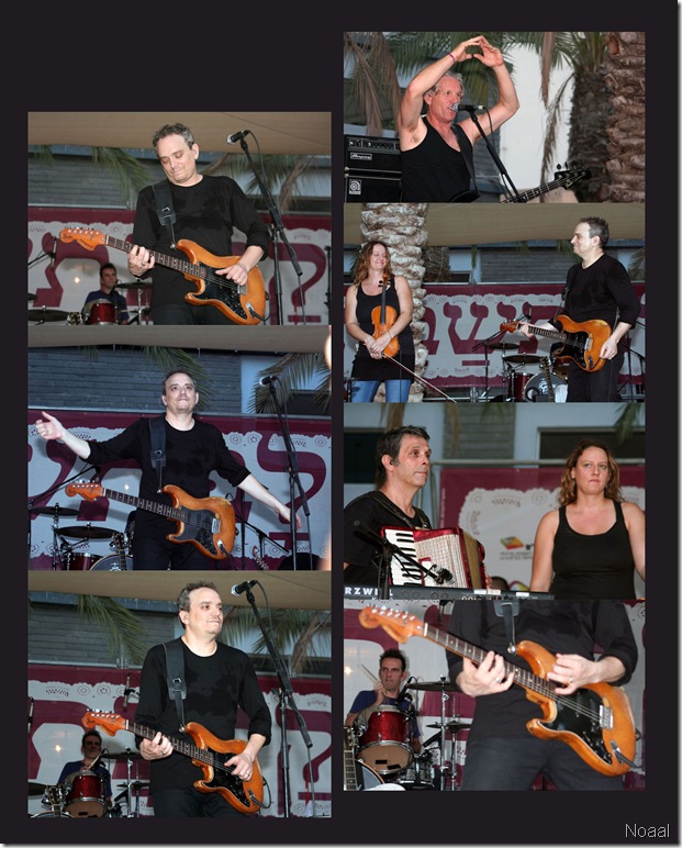collage8